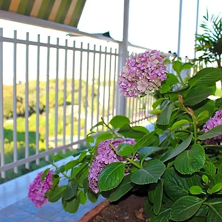 Bed and breakfast Pisani